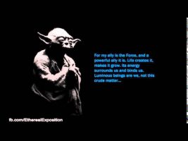 Terence Mckenna Rimshots 113   We are not Fallen Beings