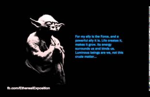 Terence Mckenna Rimshots 113   We are not Fallen Beings