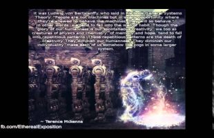 Terence Mckenna Rimshots 090   Robots don’t take psytchedelics