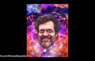Terence Mckenna Rimshots 093   Scorn for weird ideas