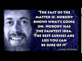 Terence Mckenna Rimshots 062   Nobody Knows What’s Going On