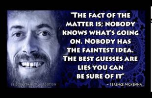 Terence Mckenna Rimshots 062   Nobody Knows What’s Going On