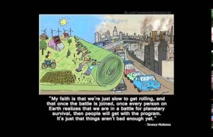 Terence Mckenna Rimshots 056   The Momentum of Past Error