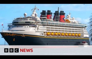 Father jumps off Disney cruise ship to save daughter who fell overboard | BBC News