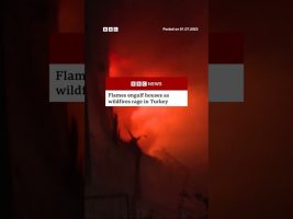 More than 50,000 people have been evacuated across five regions due to the fires. #Turkey #BBCNews