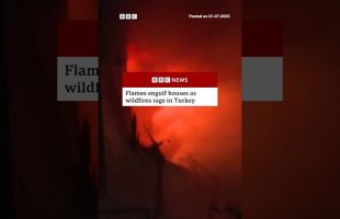 More than 50,000 people have been evacuated across five regions due to the fires. #Turkey #BBCNews