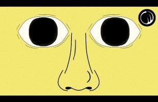 A Thought Experiment That Will Change How You Think About Your Existence | René Descartes