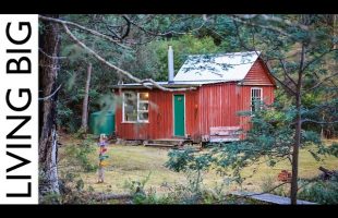 She Turned This Abandoned Hut Into A Dream Woodland Cabin