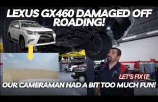Lexus GX460 Off Road Damage | Our Cameraman Had a Bit Too Much Fun! Let’s Fix It!