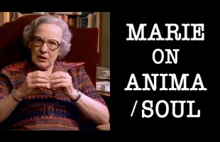 The Anima/Soul in Carl Jung’s Psychology: Marie-Louise von Franz Explains with Dream Examples #soul