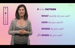 How do you evaluate Substance Use Disorders? The RIPTEAR assessment framework