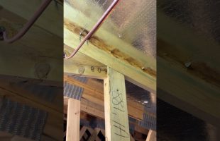 New Build Fails