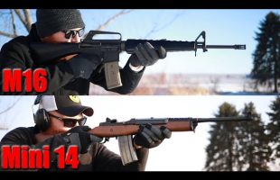 Ruger Mini 14 vs M16
