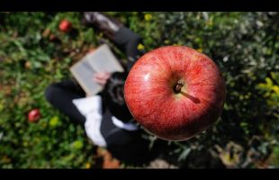 The Mystery of Gravitation
