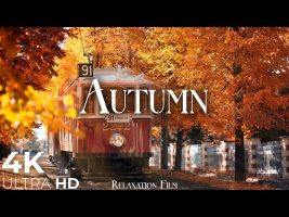 Autumn 4K • Relaxation Film with Piano Music | Nature 4K Ultra HD