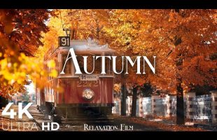 Autumn 4K • Relaxation Film with Piano Music | Nature 4K Ultra HD