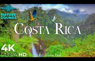 Costa Rica 4K • Nature Relaxation Film • Peaceful Relaxing Music •  4k Video UltraHD