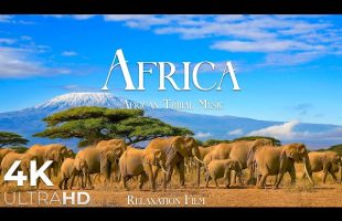 Africa 4K • Nature Relaxation Film – Wildlife & Tribal Music | 4K Ultra HD