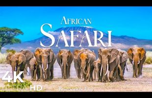 African Safari 4K • Wildlife Relaxation Film | Nature 4K Ultra HD