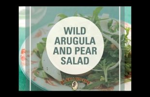 Wild Arugula and Pear Salad
