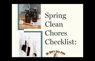 Spring Clean Chores Checklist