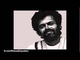 Terence Mckenna Rimshots 065   Novelty is the life of the Party
