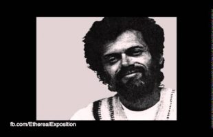 Terence Mckenna Rimshots 065   Novelty is the life of the Party