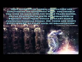 Terence Mckenna Rimshots 077   Psychedelics As A Radical Solution