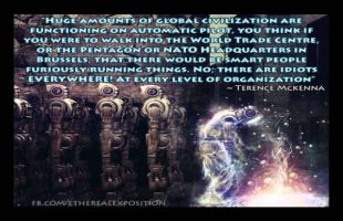 Terence Mckenna Rimshots 077   Psychedelics As A Radical Solution