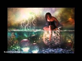 Terence Mckenna Rimshots 069   Our Assumptions