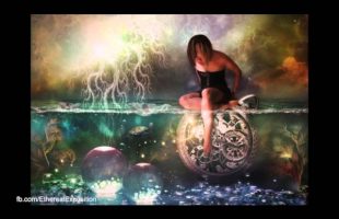 Terence Mckenna Rimshots 069   Our Assumptions