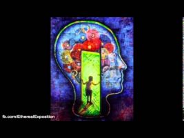 Terence Mckenna Rimshots 087   Reincarnation