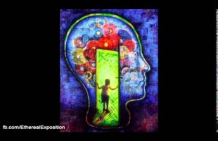 Terence Mckenna Rimshots 087   Reincarnation