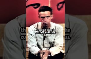 Alan Watts Controlled Accident