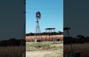 Would YOU visit this SCARY PLACE in TEXAS? 😳 #horror #horrormovie #texas #haunted #scary #creepy