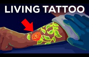 Your Tattoo is INSIDE Your Immune System. Literally