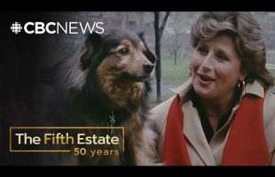 For Pets’ Sake (1988) | The Fifth Estate