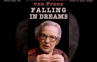 Falling in Dreams: Marie-Louise v.Franz – Inevitable Collision with Reality When You’re Too High Up!