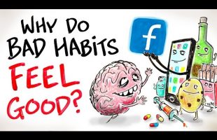 Why Do Bad Habits Feel SO GOOD?