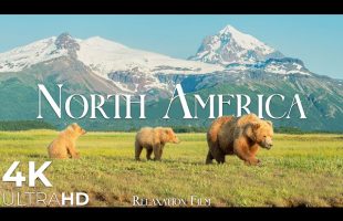 North America 4K • Spirit of the Land | Relaxation Film | Native Flute & Calm Piano