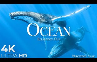 The Ocean (4K UltraHD)- Relaxation Film – Peaceful Relaxing Music – 4k Video UltraHD