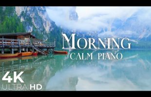 Morning Music in Nature 4K Ultra HD • Relaxation Film | Calm Piano