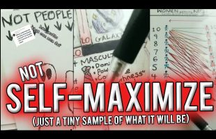 (Not) Self-Maximize (just a tiny preview of it, not even 1% of the whole thing))