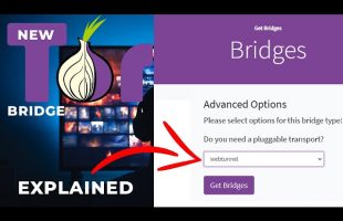 New Tor Bridge: WebTunnel Explained & Happy World Day Against Cyber Censorship