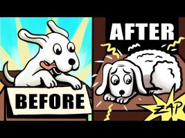 Learned Optimism by Martin Seligman – Animated Book Review