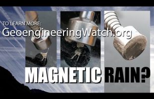 Magnetic Rain? (Activist Video)