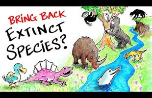 Should We Bring Back Extinct Species?