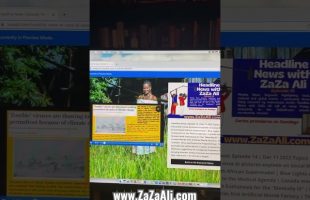 ZaZa Ali: Headline News Episode 14 www.ZaZaAli.com #zazaali #godconsciousness #headlinenews
