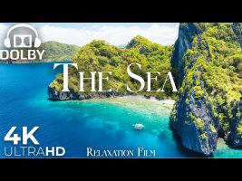 The Sea 4K • Endless Coastlines | Relaxation Film | Calm Waves & Piano