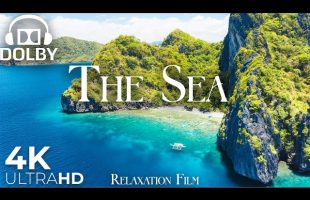 The Sea 4K • Endless Coastlines | Relaxation Film | Calm Waves & Piano
